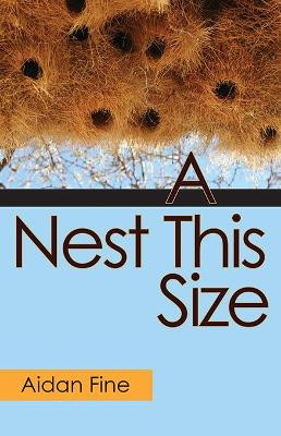 A Nest This Size by Aidan Fine 9781848617360