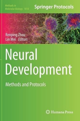 Neural Development: Methods and Protocols by Renping Zhou 9781627034432