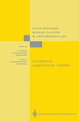 Algebraic Complexity Theory by T. Lickteig 9783642082283