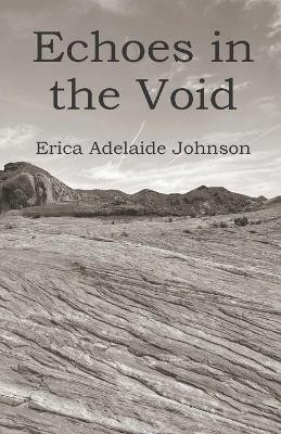 Echoes in the Void by Erica Adelaide Johnson 9781735596716