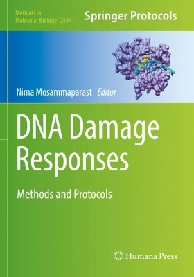 DNA Damage Responses: Methods and Protocols by Nima Mosammaparast 9781071620656