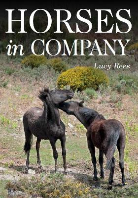 Horses in Company by Lucy Rees