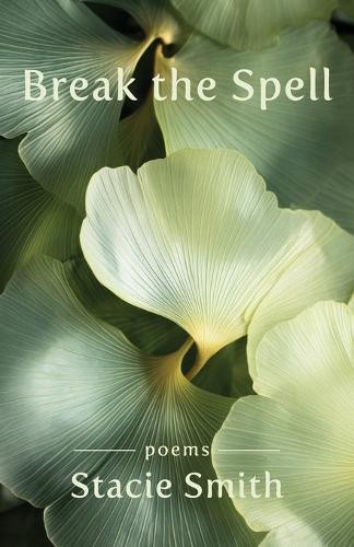 Break the Spell by Stacie Smith 9781962082334