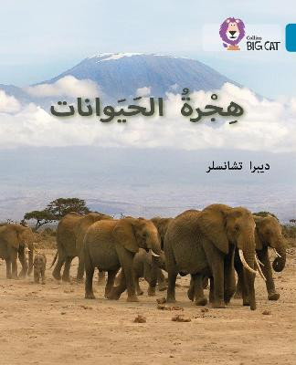 Animal Migration: Level 13 (Collins Big Cat Arabic Reading Programme) by Deborah Chancellor