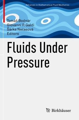 Fluids Under Pressure by Tomas Bodnar 9783030396411
