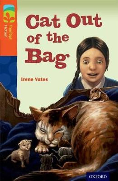 Oxford Reading Tree TreeTops Fiction: Level 13 More Pack B: Cat Out of the Bag by Irene Yates