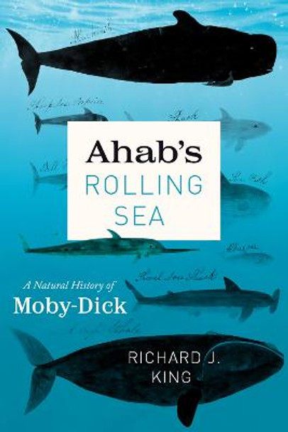 Ahab's Rolling Sea: A Natural History of &quot;moby-Dick&quot; by Richard J King