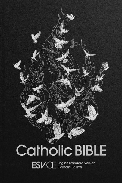 ESV-CE Catholic Bible, Anglicized: English Standard Version – Catholic Edition by SPCK ESV-CE Bibles 9780281085262