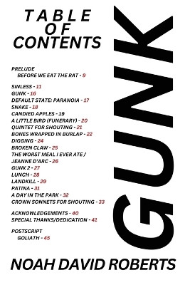 Gunk by Noah David Roberts 9781959118893