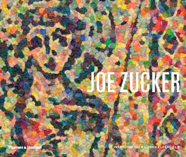 Joe Zucker by John Elderfield