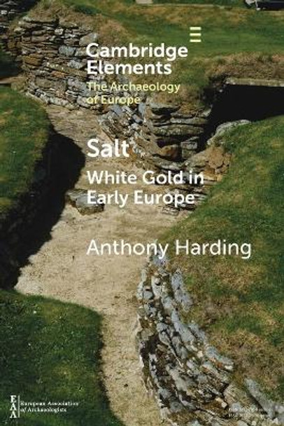 Salt: White Gold in Early Europe by Anthony Harding