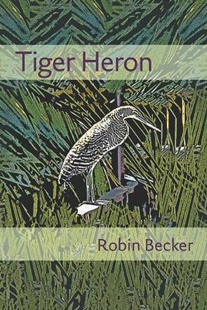 Tiger Heron by Robin Becker