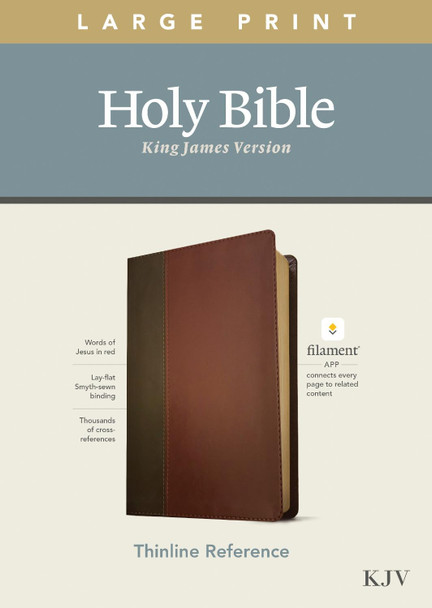 KJV Large Print Thinline Reference Bible, Filament Edition 9781496447166