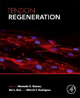 Tendon Regeneration: Understanding Tissue Physiology and Development to Engineer Functional Substitutes by Manuela E. Gomes 9780128015902