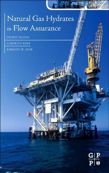 Natural Gas Hydrates in Flow Assurance by Carolyn Ann Koh 9781856179454