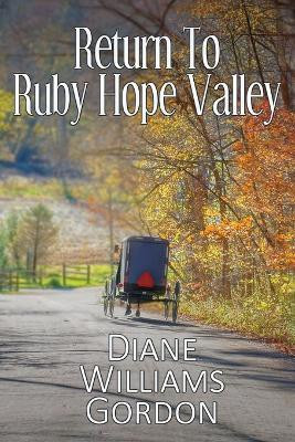 Return to Ruby Hope Valley by Diane Williams Gordon 9781684335169