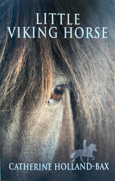 Little Viking Horse by Catherine Holland-Bax 9781919630106