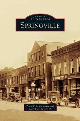 Springville by Alan V Manchester 9781531661809