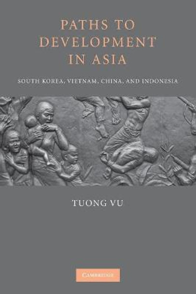 Paths to Development in Asia: South Korea, Vietnam, China, and Indonesia by Tuong Vu