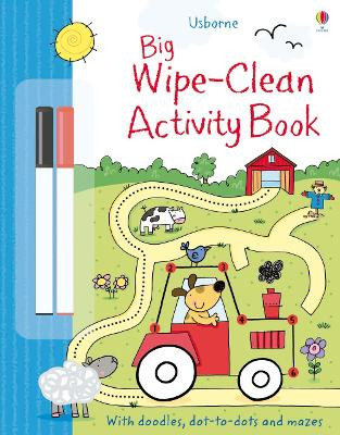 Big Wipe Clean Activity Book by Sam Taplin 9781409551577
