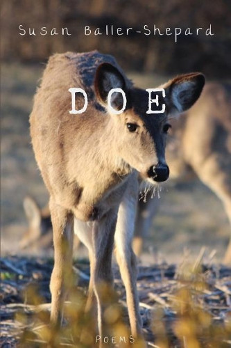 Doe by Susan Baller-Shepard 9781635349047