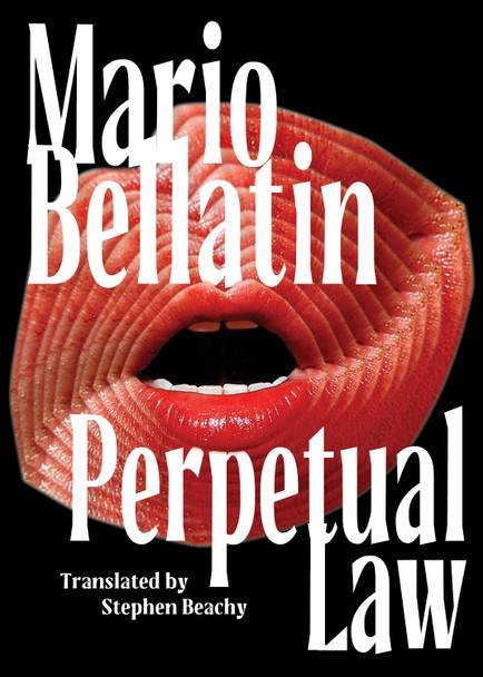 Perpetual Law 9781646053384