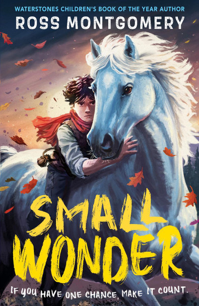 Small Wonder Ross Montgomery 9781529526127