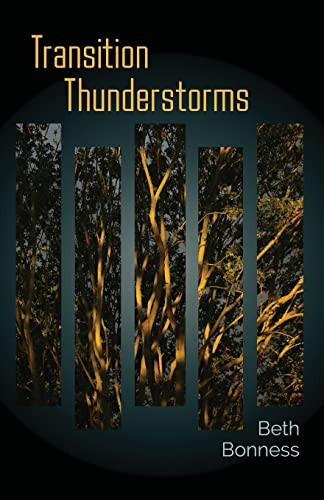 Transition Thunderstorms by Beth Bonness 9781956285079