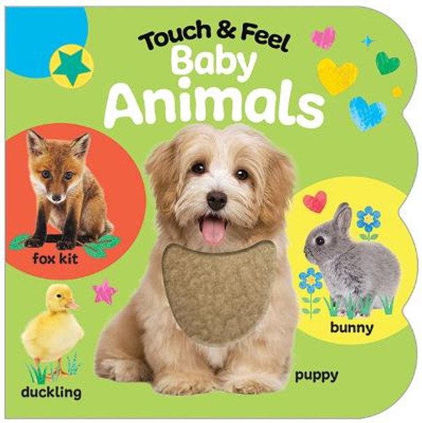 Baby Animals Touch & Feel by Fhiona Galloway