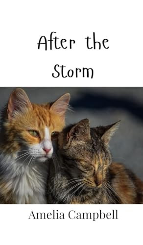 After the Storm by Amelia Campbell 9789916946565