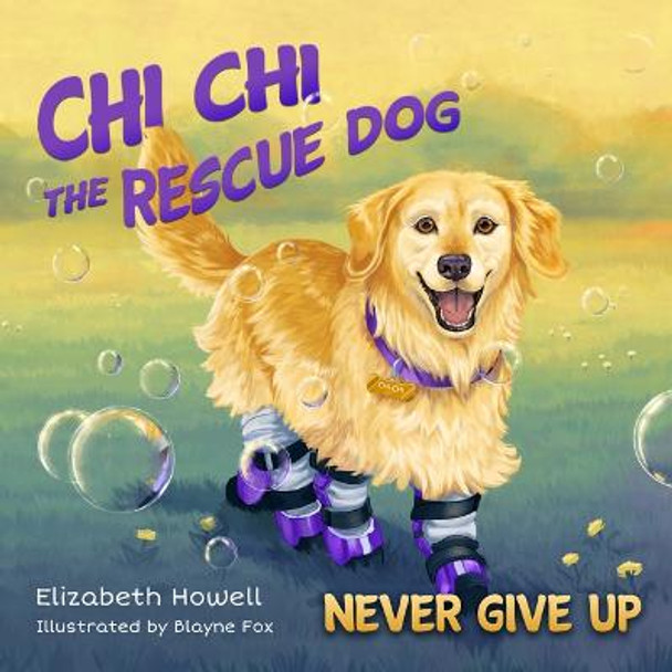 Never Give Up by Elizabeth Howell