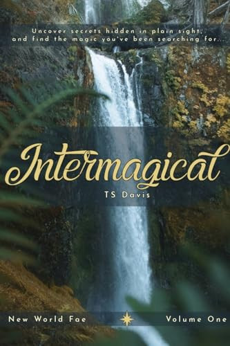 Intermagical by Ts Davis 9798988365228