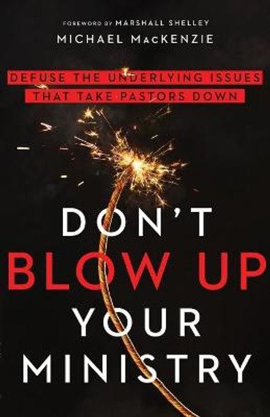 Don't Blow Up Your Ministry: Defuse the Underlying Issues That Take Pastors Down by Michael MacKenzie