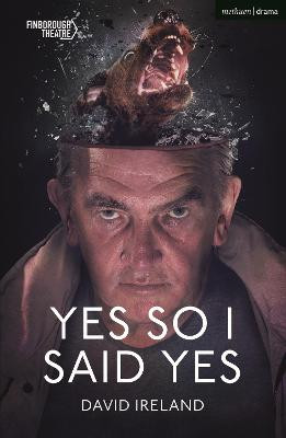 Yes So I Said Yes by David Ireland