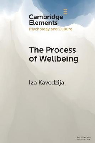 The Process of Wellbeing: Conviviality, Care, Creativity by Iza Kavedzija