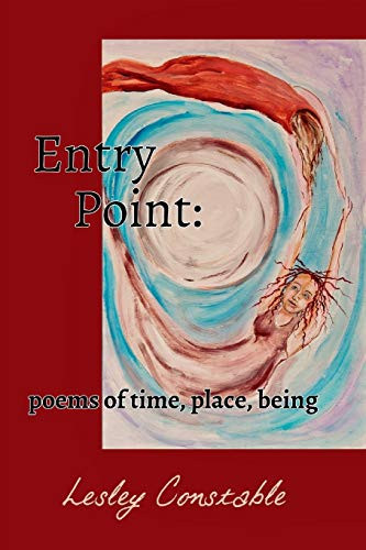 Entry Point by Lesley Constable 9781364948672