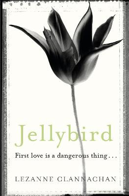Jellybird: A chilling novel of childhood secrets, first love - and murder... Lezanne Clannachan 9781409127963