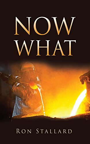 Now What by Ron Stallard 9781662830143