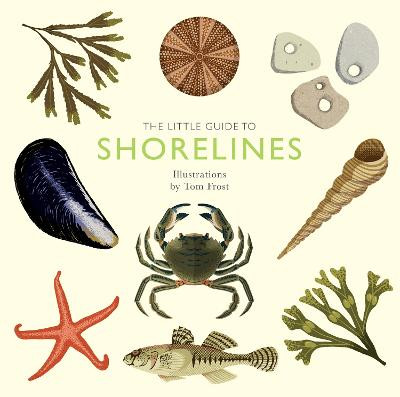 The Little Guide to Shorelines by Alison Davies