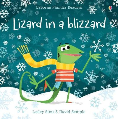 Lizard in a Blizzard by Lesley Sims 9781474946582 [USED COPY]