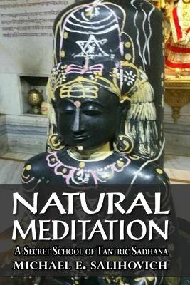 Natural Meditation by Michael E Salihovich