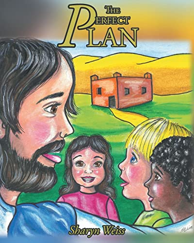 The Perfect Plan by Sharyn Weiss 9798886445220