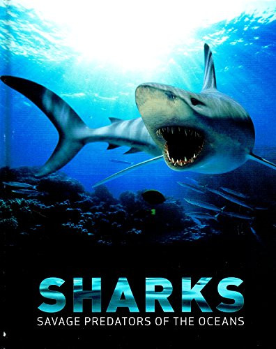 Sharks by  9781405450317