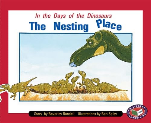 The Nesting Place by Beverley Randell 9781869611170