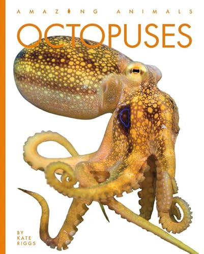 Octopuses by Kate Riggs 9781682771266