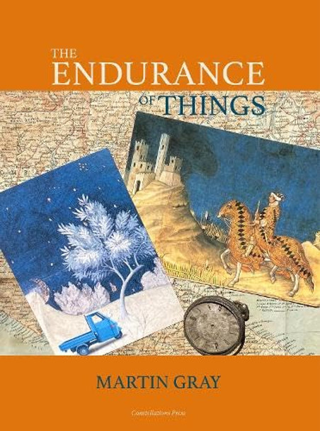 The Endurance of Things by Martin Gray 9781917000062