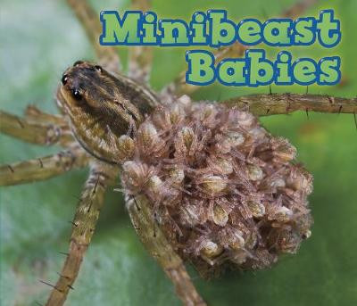 Minibeast Babies by Catherine Veitch