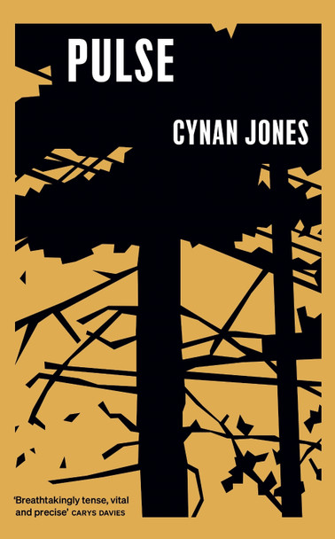 Pulse Cynan Jones 9781783782772