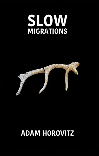 Slow Migrations by Adam Horovitz 9781912876945