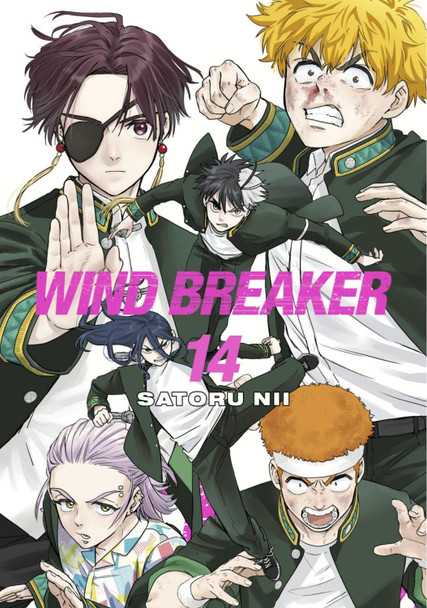 WIND BREAKER 14 Satoru Nii 9781646519613